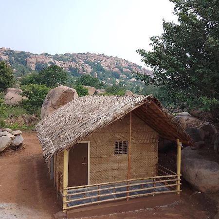 Monkey Paradise Hampi ฮัมปี ภายนอก รูปภาพ