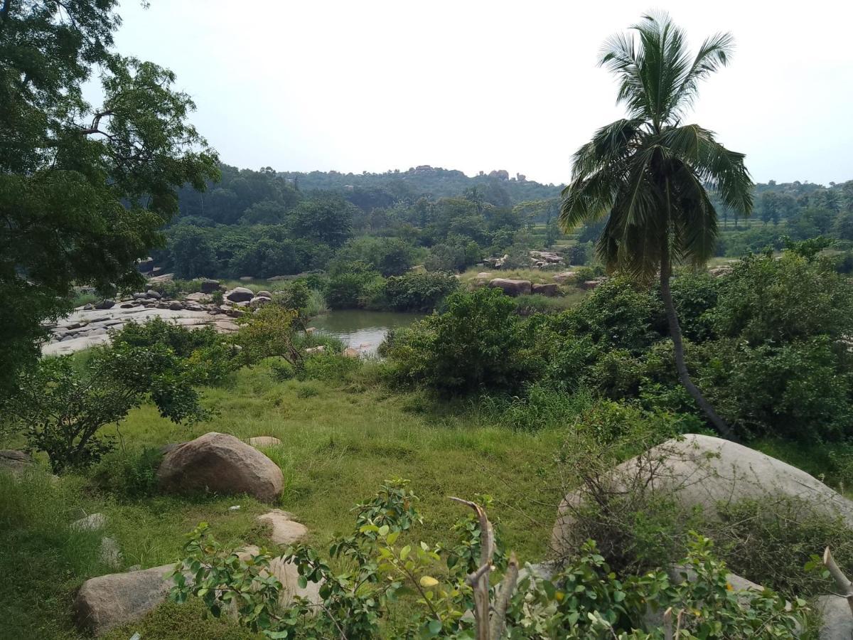 Monkey Paradise Hampi ฮัมปี ภายนอก รูปภาพ