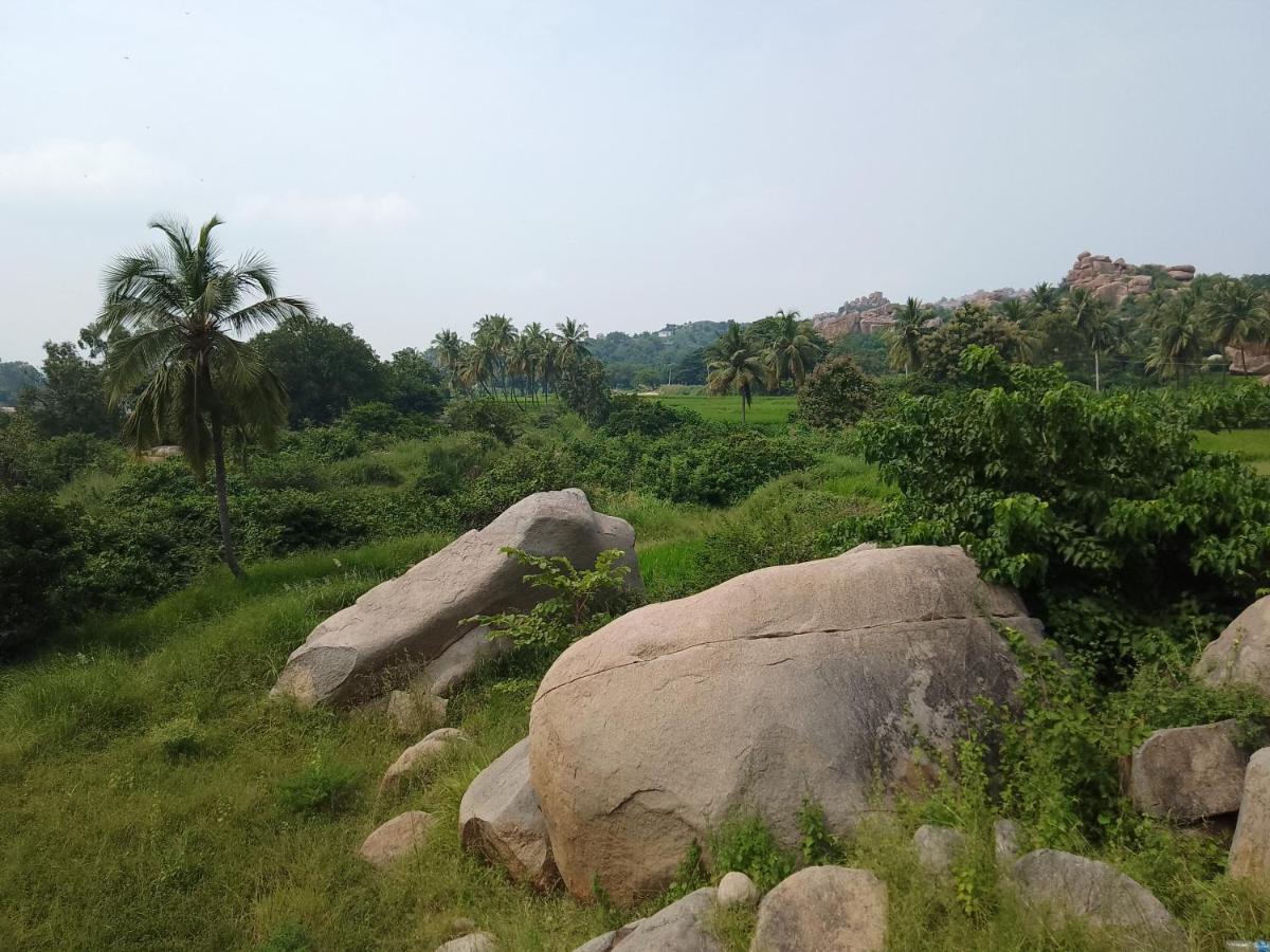 Monkey Paradise Hampi ฮัมปี ภายนอก รูปภาพ