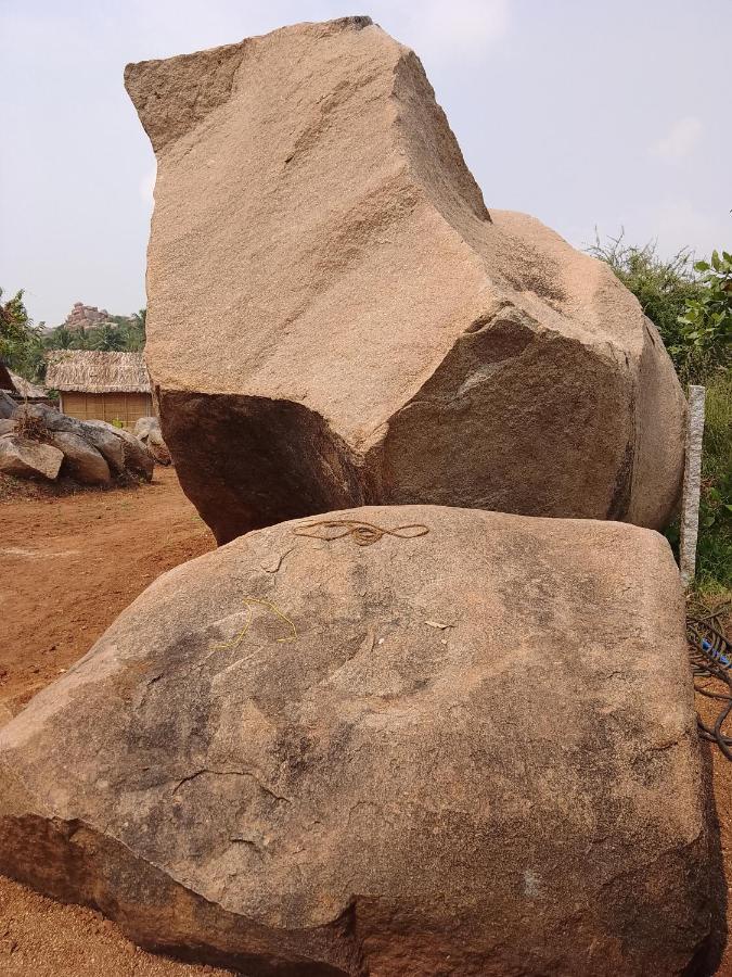 Monkey Paradise Hampi ฮัมปี ภายนอก รูปภาพ