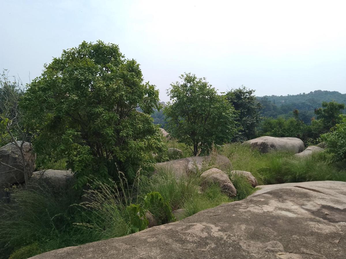 Monkey Paradise Hampi ฮัมปี ภายนอก รูปภาพ